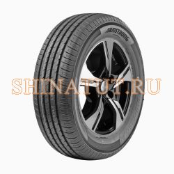 205/55 R16 94V BLU-TRAC PC XL