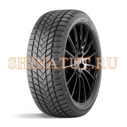 215/50 R17 95H WINTER LANDER