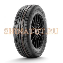 215/60 R17 100H DS01