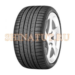 225/50 R17 94H ContiWinterContact TS810S